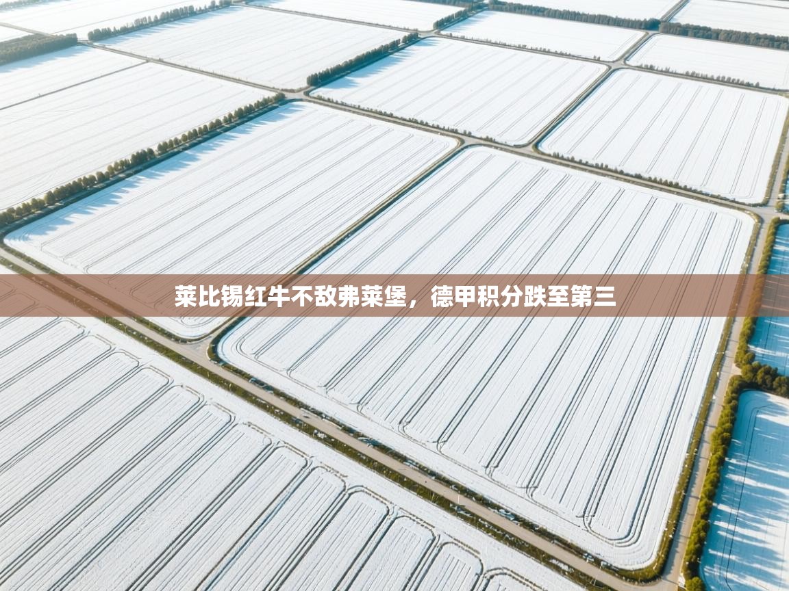 莱比锡红牛不敌弗莱堡，德甲积分跌至第三  第1张