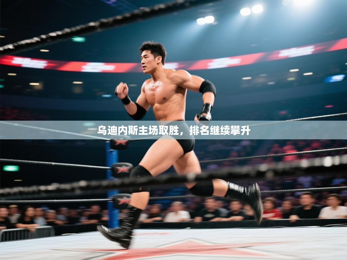 乌迪内斯主场取胜,排名继续攀升 第2张