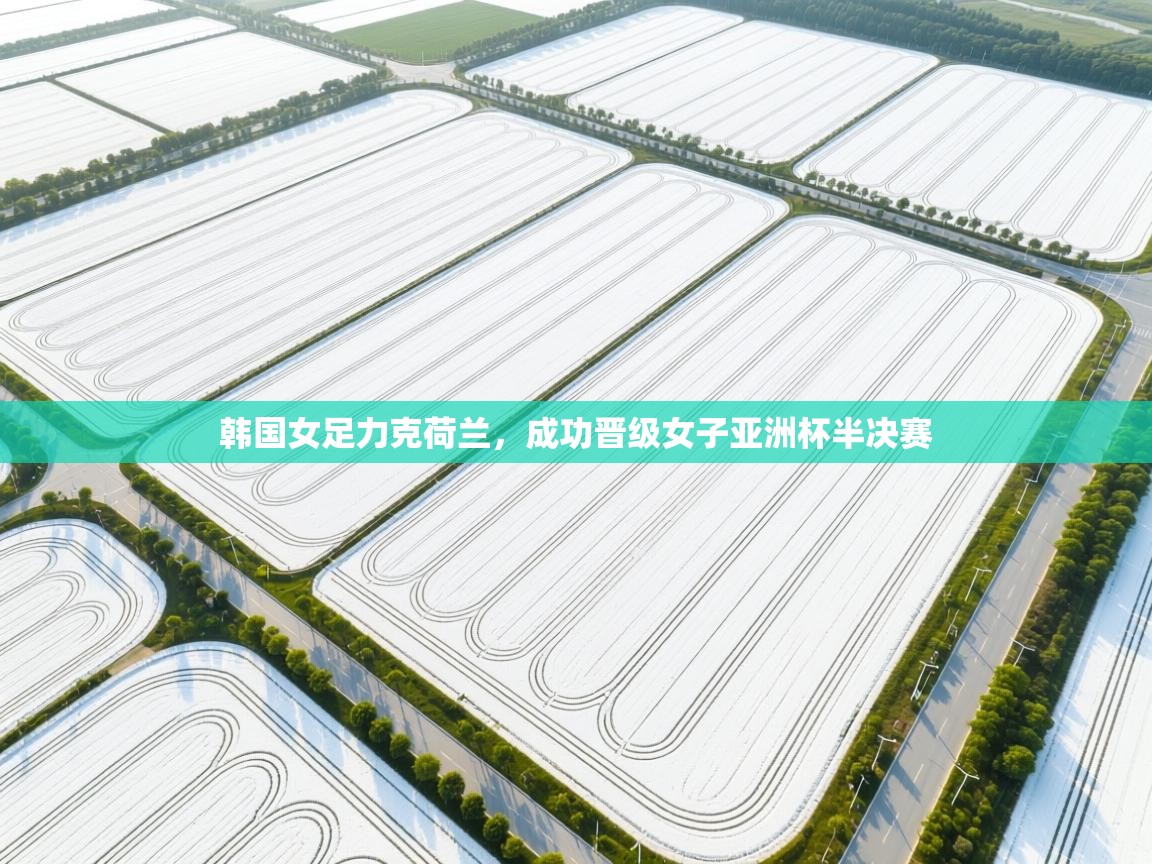 韩国女足力克荷兰，成功晋级女子亚洲杯半决赛  第2张