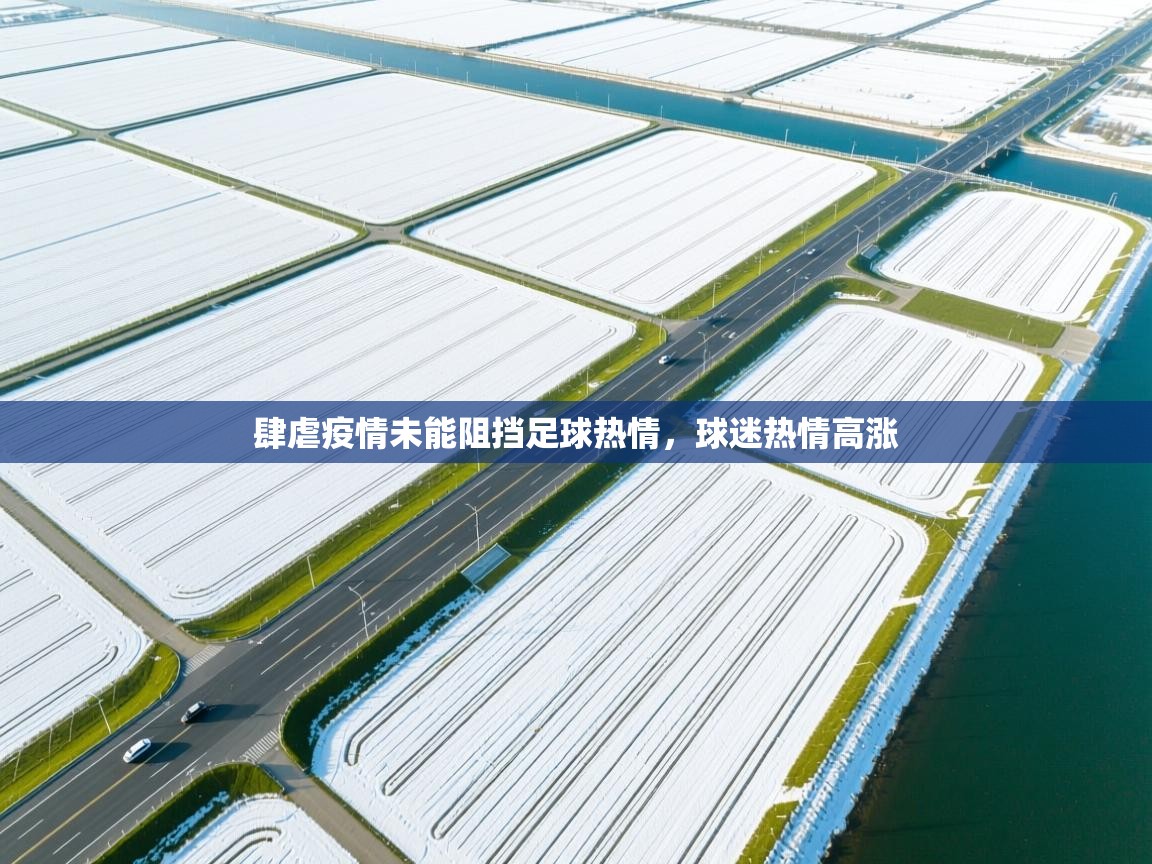 肆虐疫情未能阻挡足球热情，球迷热情高涨  第1张